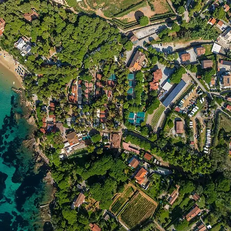 Mia كابوليفيري