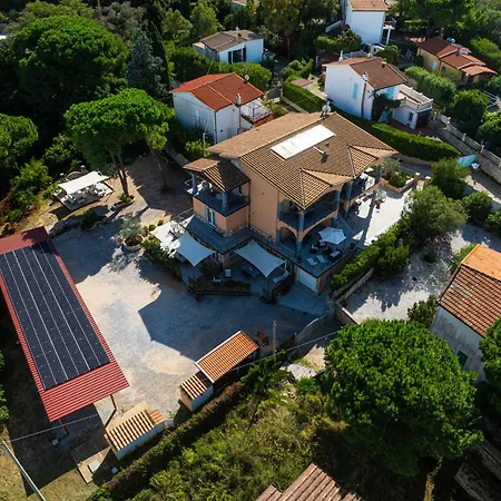 Mia * كابوليفيري